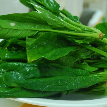 菠菜，青菜绿叶蔬菜火锅必备