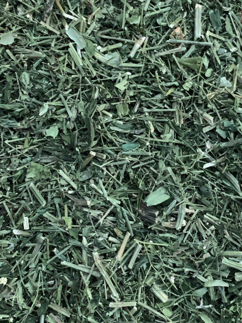 穿心莲厂家直销没有中间商赚差价穿心莲切草（切片）