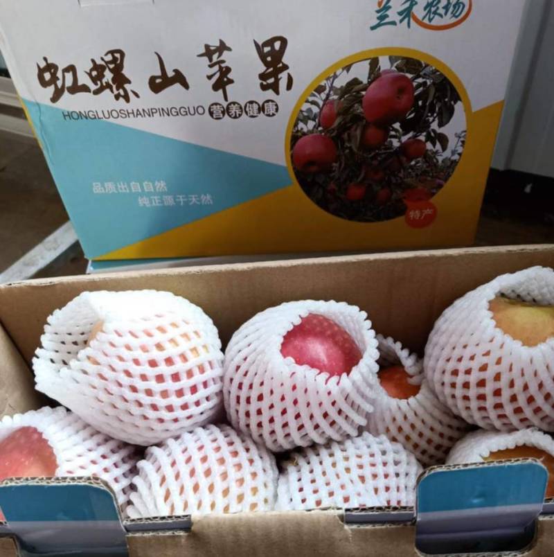 5斤装寒富苹果辽西地区山地虹螺山特色