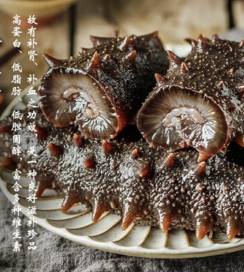 大连高刺拉缸盐海参非淡干鲜活辽刺参海生非即食