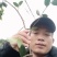 亚林中心长埠林场长林系油茶苗