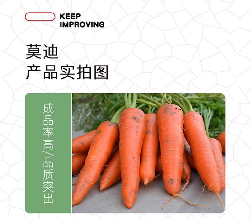 莫迪胡萝卜种子，三红夏季七寸参，坂田原种八代提纯选育基地