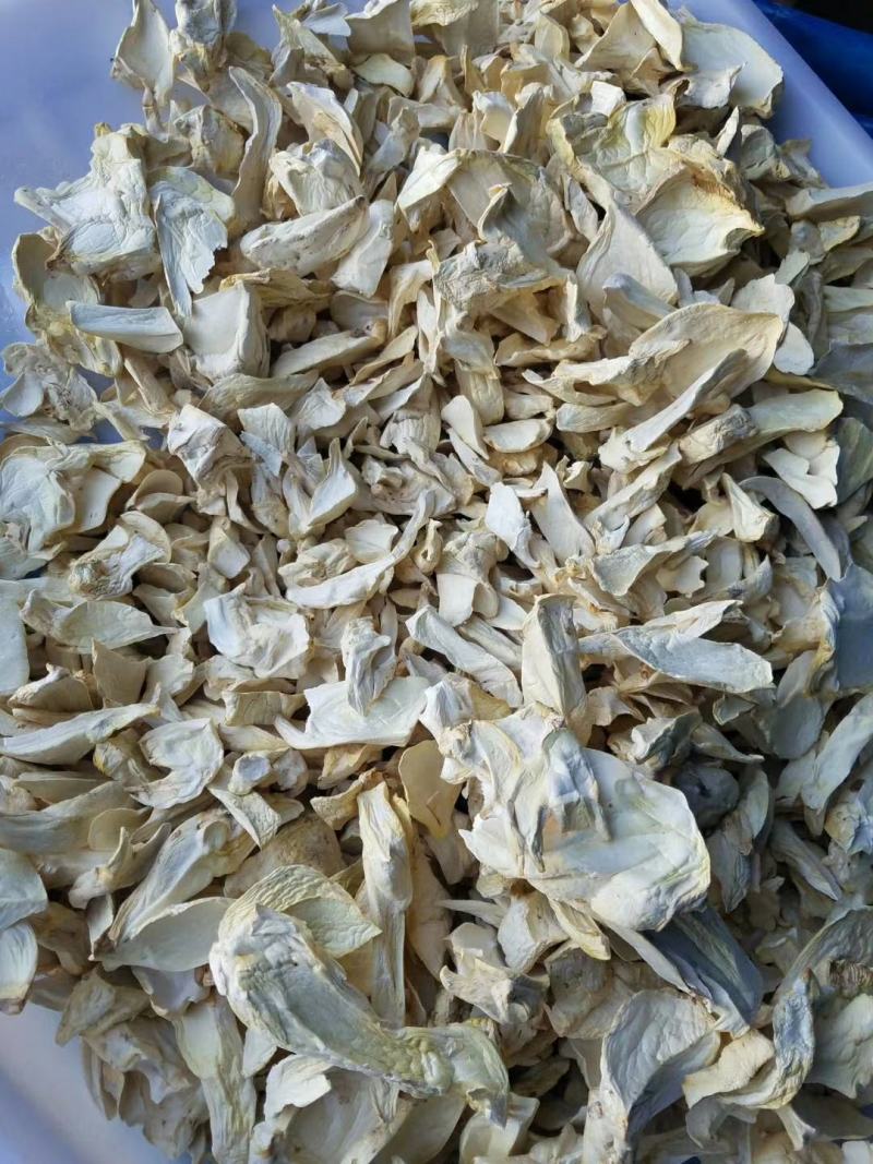 【推荐】干杏鲍菇根片产地一手货源电商超市一件代发欢迎来电