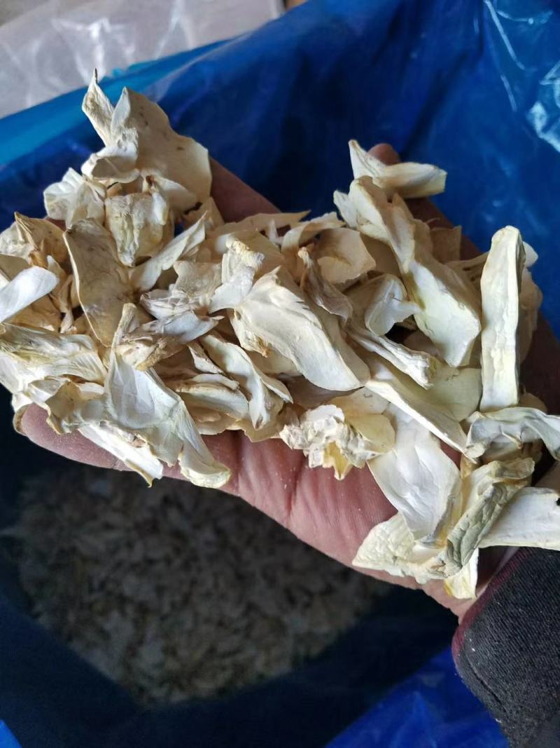 【推荐】干杏鲍菇根片产地一手货源电商超市一件代发欢迎来电