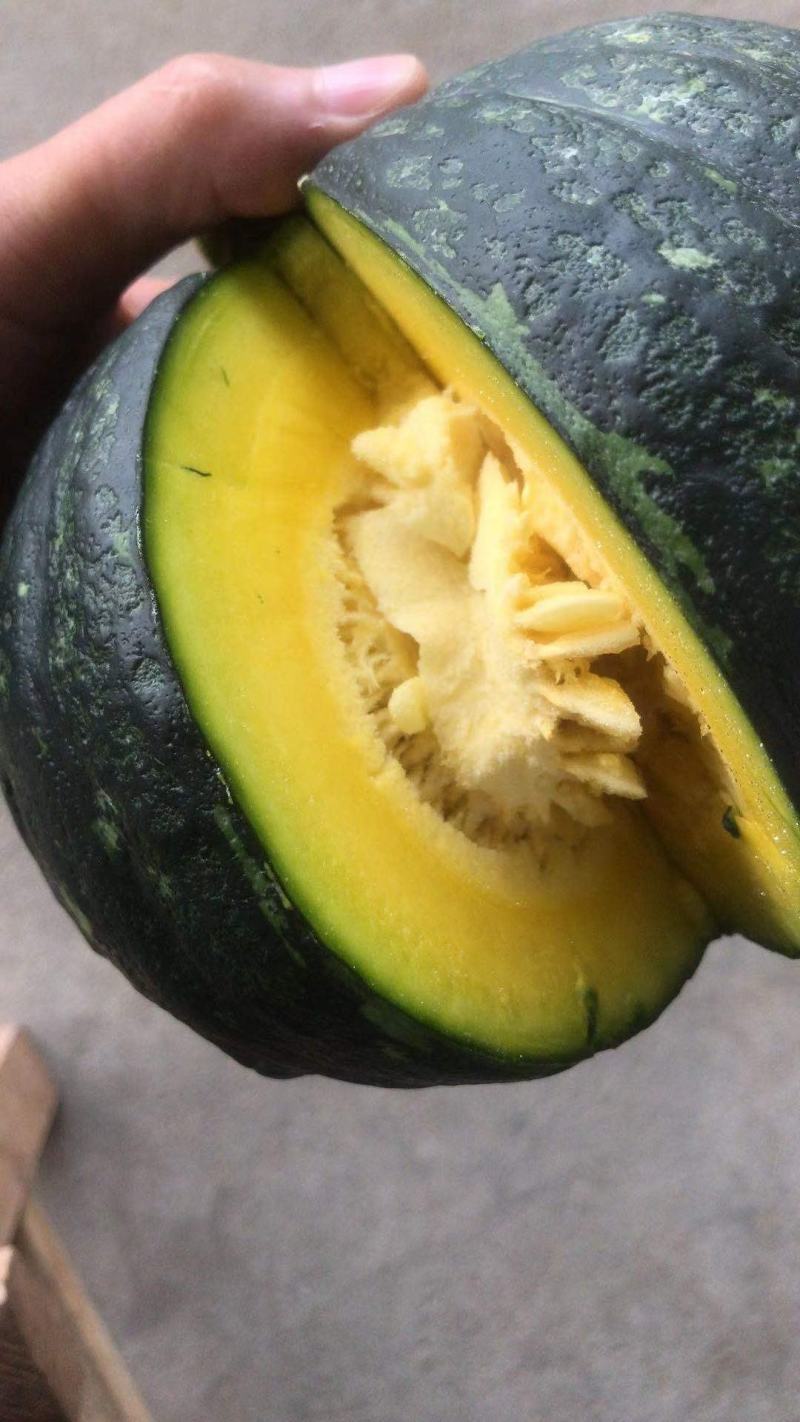 贝贝南瓜~广东新鲜当季蔬菜