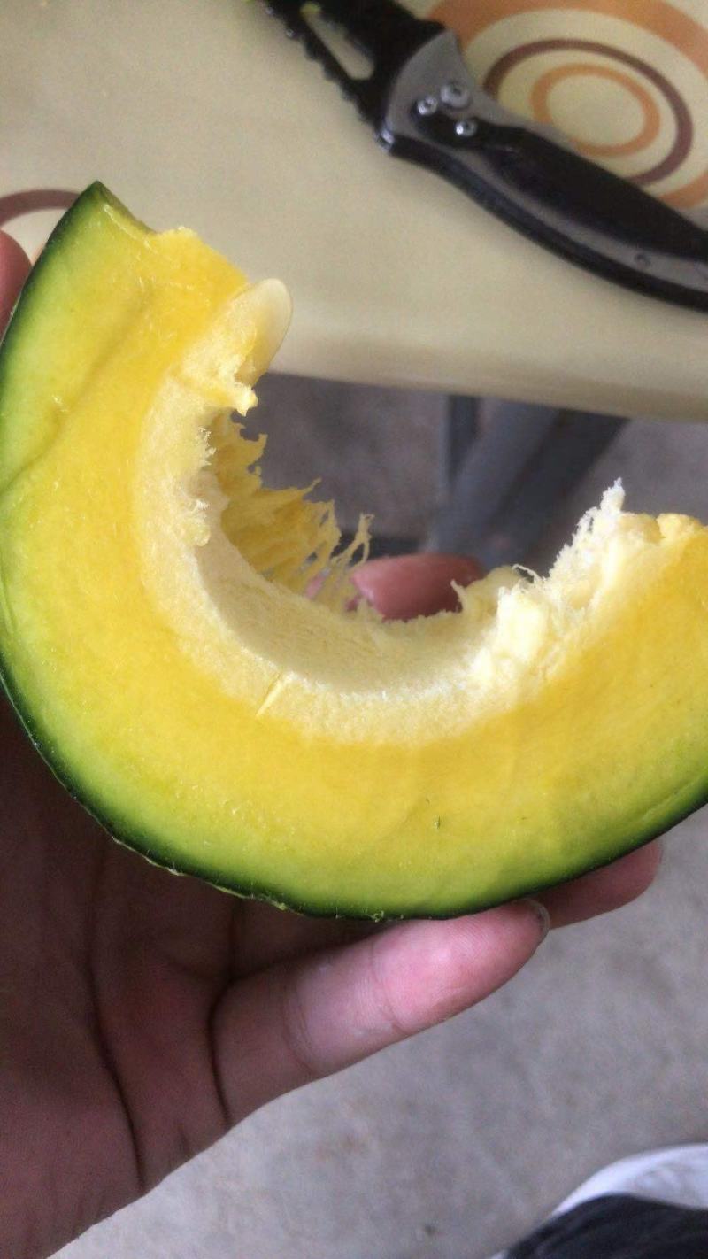 贝贝南瓜~广东新鲜当季蔬菜