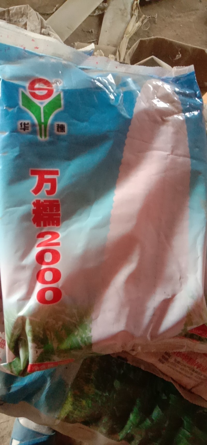 甜糯玉米种子，质量保证请放心种植。大棒型，口感好，