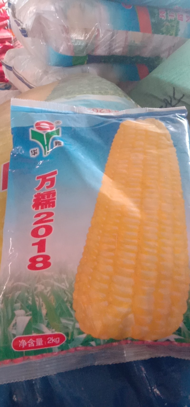 花甜糯玉米种子，大棒型，口感好。市场畅销品种