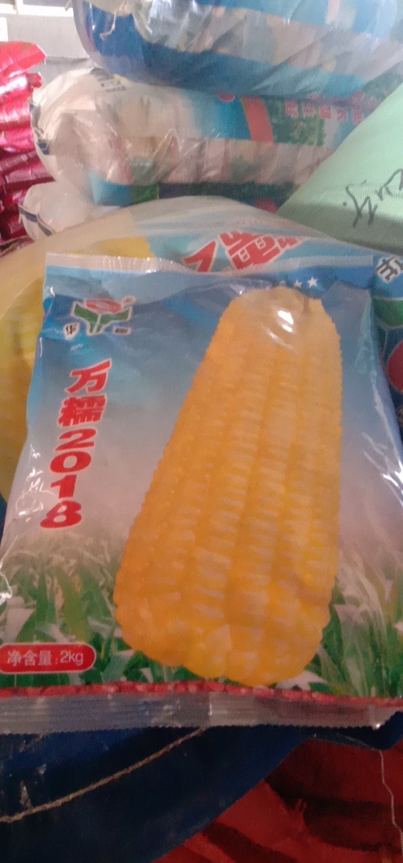 花甜糯玉米种子，大棒型，口感好。市场畅销品种