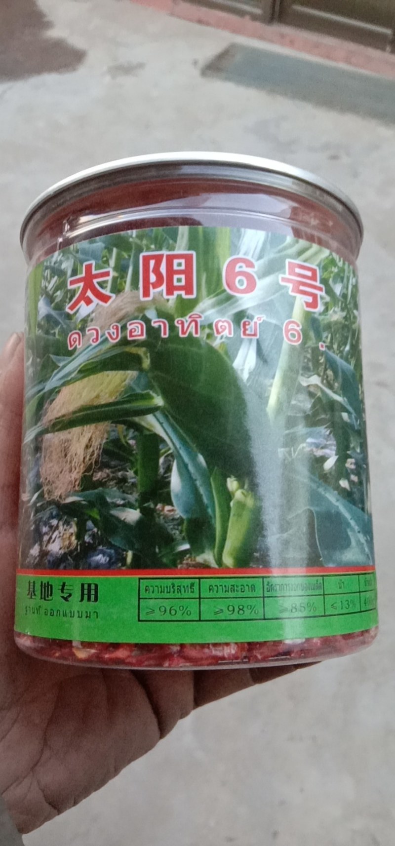 花甜糯玉米种子，大棒型，口感好。市场畅销品种