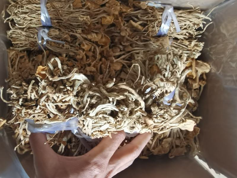 茶树菇开伞扎把，剪脚分拣年货一件代发包邮