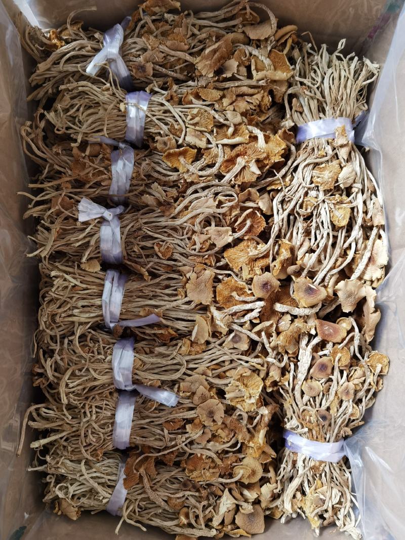 茶树菇开伞扎把，剪脚分拣年货一件代发包邮