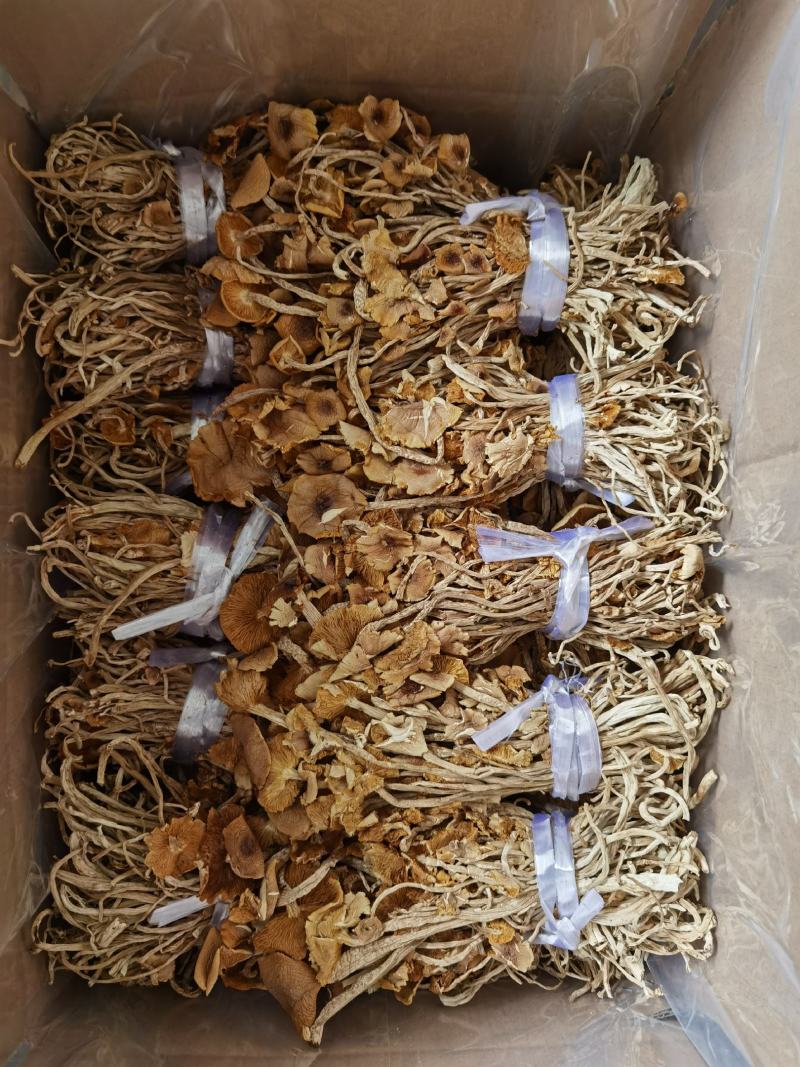 茶树菇开伞扎把，剪脚分拣年货一件代发包邮