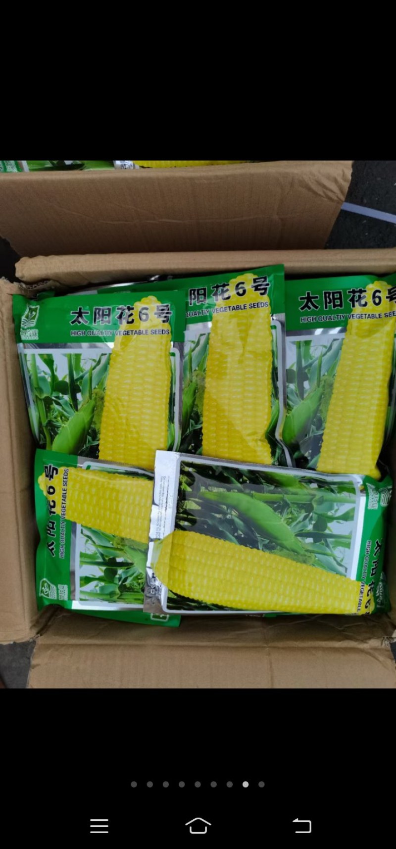 糯玉米种子，质量保证，绝无欺骗。13869871537