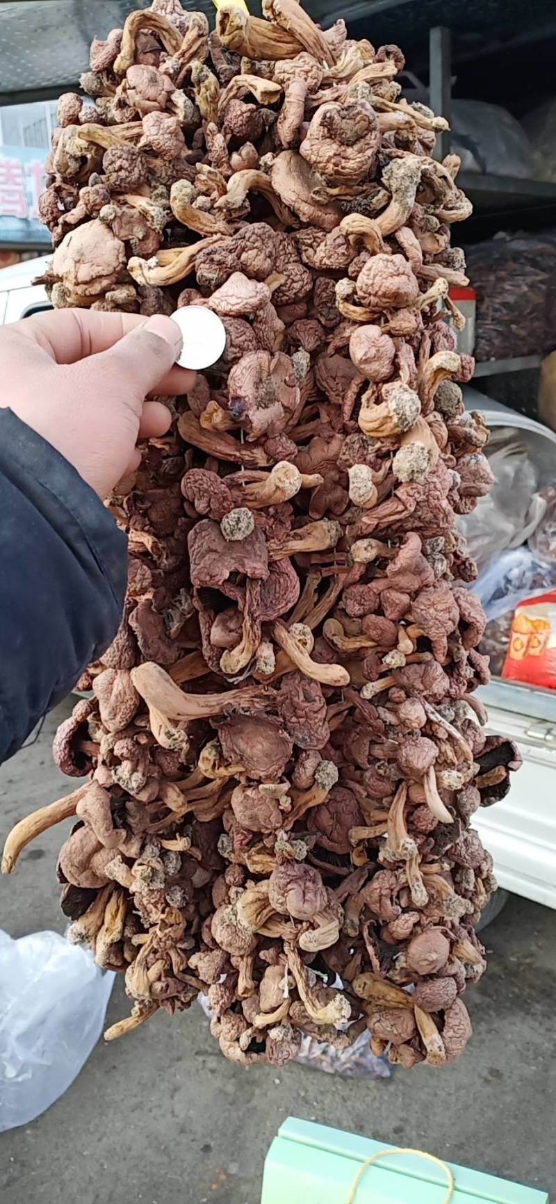 红蘑，东北红蘑，可批发零售，电话需要的联系