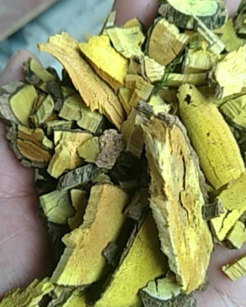 十大功劳纯野生干货，山里采挖，自然晒干，量大有优惠