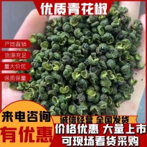 重庆新货青麻椒特麻颗颗精选开口率高可对接商超