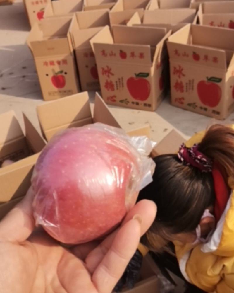 万荣膜袋红富士苹果大量供应/一手货源/可视频看货