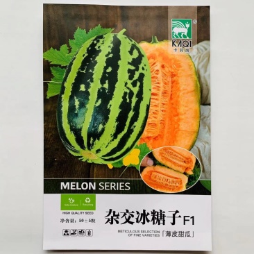 杂交冰糖子薄皮甜瓜种子早熟果肉橙红或橙绿相间甜脆爽