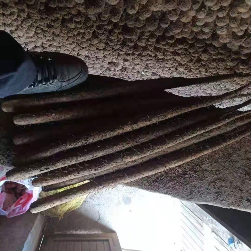 麻山药！大货！软糯甘甜！有条形！粗度！长度