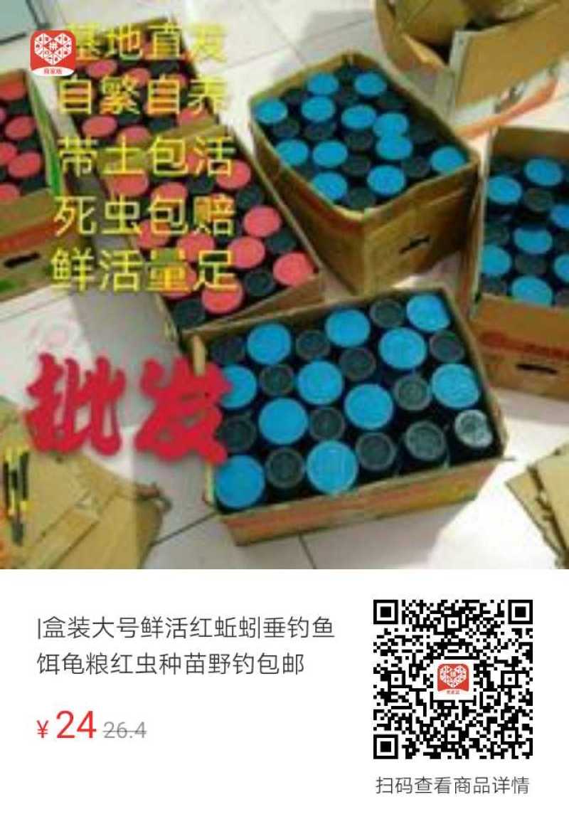 批发盒装蚯蚓，野钓，种苗，鱼食，鱼饵，鸟食，中大号蚯蚓