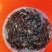 鲫鱼苗，快大优质鲫鱼苗，广东鱼苗场直销，量大从优