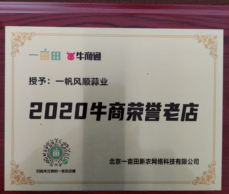 金乡紫皮洋葱货量大形状好耐运输全国发货视频看货实地看货装货快