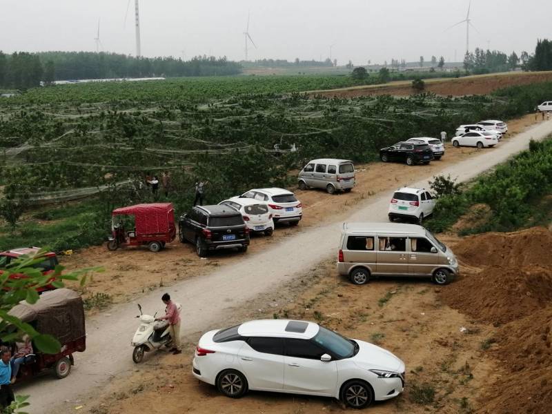 八百亩养殖用地，果园对外转让