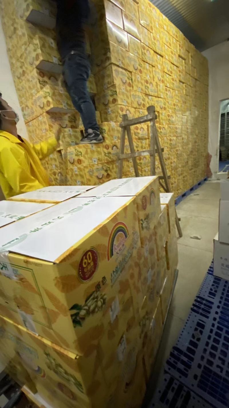开心果(原色)正品天虹牌仓库实拍，一箱20斤
