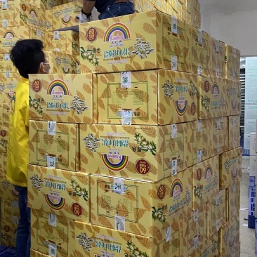 开心果(原色)正品天虹牌仓库实拍，一箱20斤