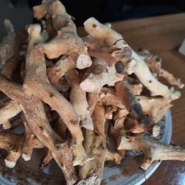 纯野生穿山龙穿龙骨穿地