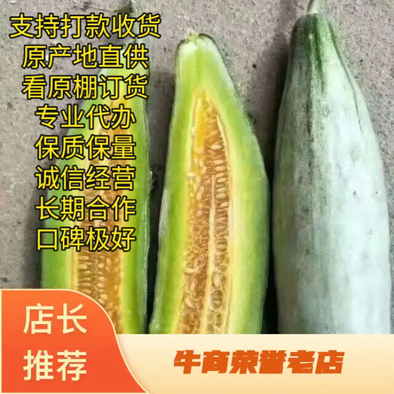 《山东潍坊羊角蜜甜瓜》《羊角脆甜瓜》《山东甜瓜精品甜瓜》