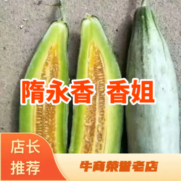 《山东潍坊羊角蜜甜瓜》《羊角脆甜瓜》《山东甜瓜精品甜瓜》
