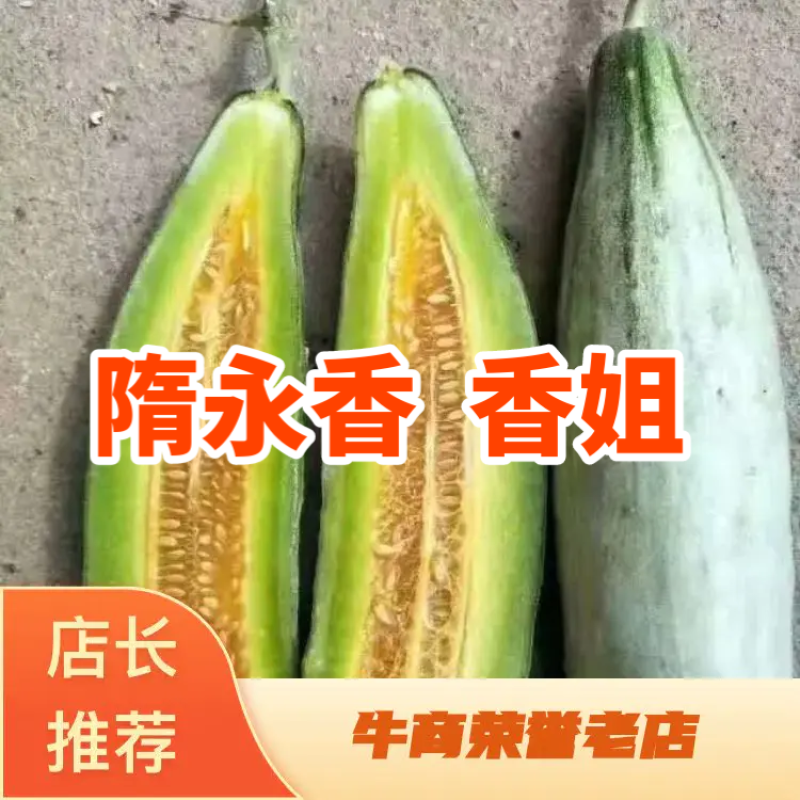 《山东潍坊羊角蜜甜瓜》《羊角脆甜瓜》《山东甜瓜精品甜瓜》
