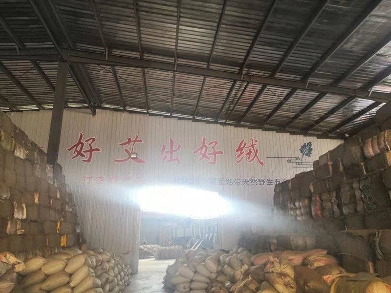 黄金艾粉纯艾粉抗疫房间熏蒸消毒病毒艾灸粉陈年艾粉泡脚洗浴