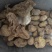 无硫货金果榄金牛胆苦牛胆货好量大要多了有优惠