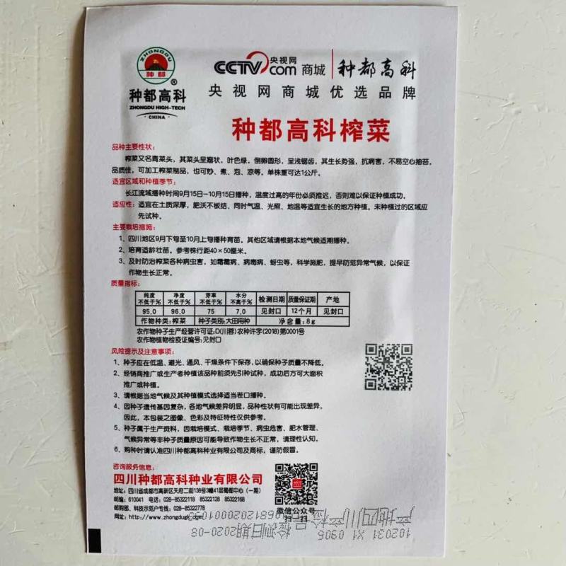 榨菜种子四川特大芥菜种籽腌制泡菜大头青菜头疙瘩籽种秋季蔬