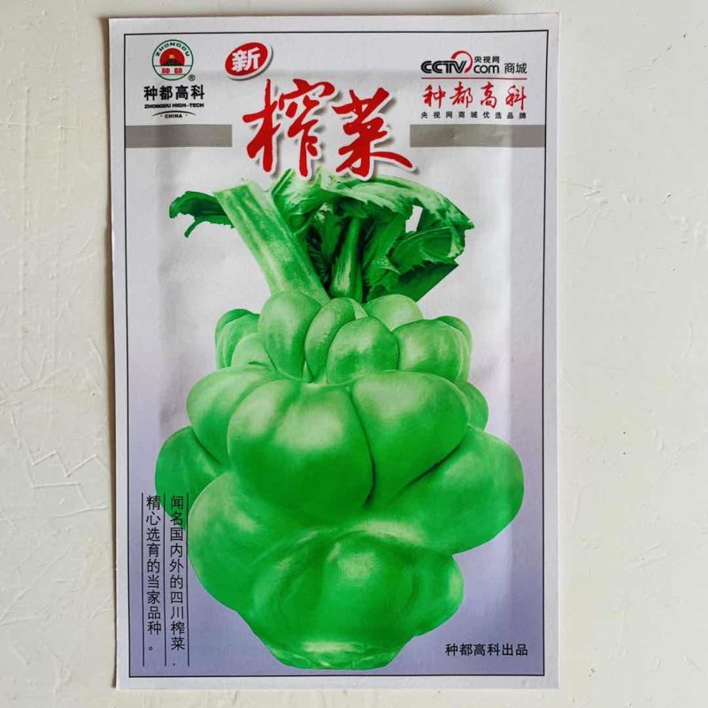 榨菜种子四川特大芥菜种籽腌制泡菜大头青菜头疙瘩籽种秋季蔬
