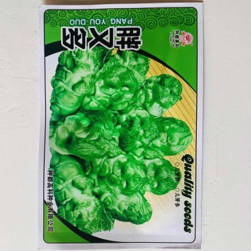 榨菜种子四川特大芥菜种籽腌制泡菜大头青菜头疙瘩籽种秋季蔬