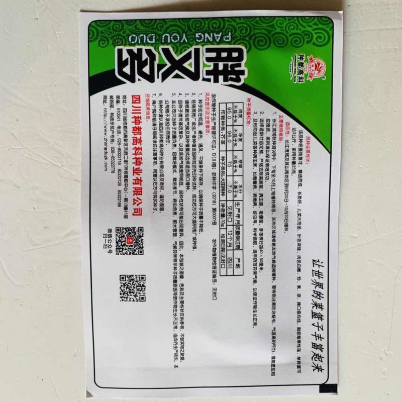 榨菜种子四川特大芥菜种籽腌制泡菜大头青菜头疙瘩籽种秋季蔬