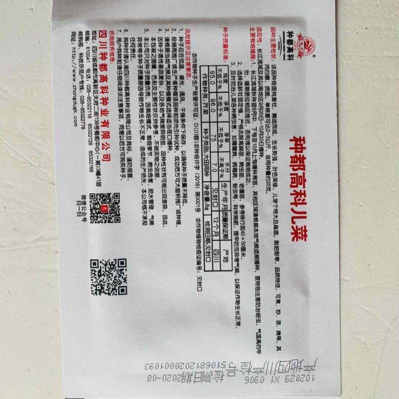 榨菜种子四川特大芥菜种籽腌制泡菜大头青菜头疙瘩籽种秋季蔬