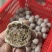 潮汕特产，优质手捶牛肉丸，牛根丸，跳弹力好，货源充足