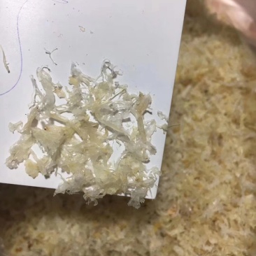 燕碎金丝肉丝碎燕窝质量燕窝自吃推荐款自然色