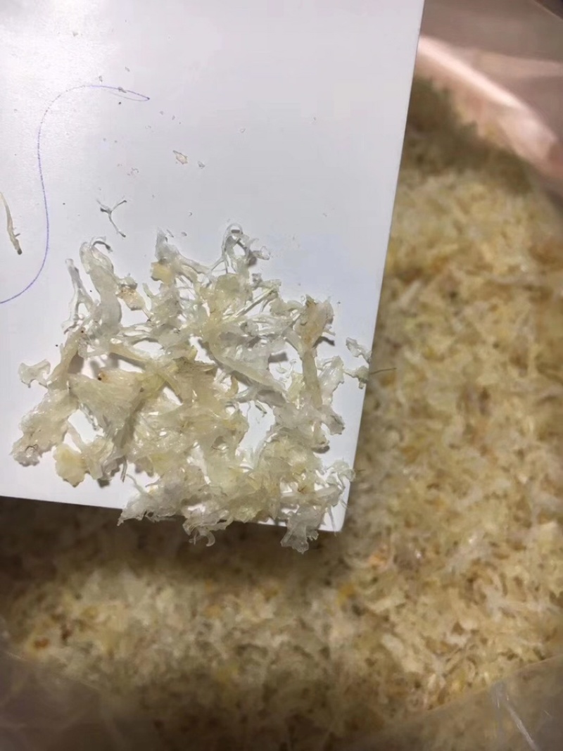 燕碎金丝肉丝碎燕窝质量燕窝自吃推荐款自然色