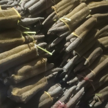 网袋山药，现货一车。