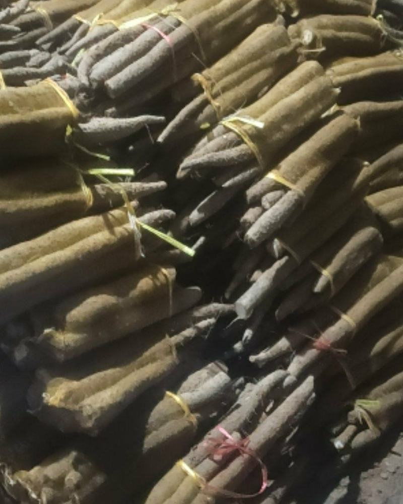网袋山药，现货一车。