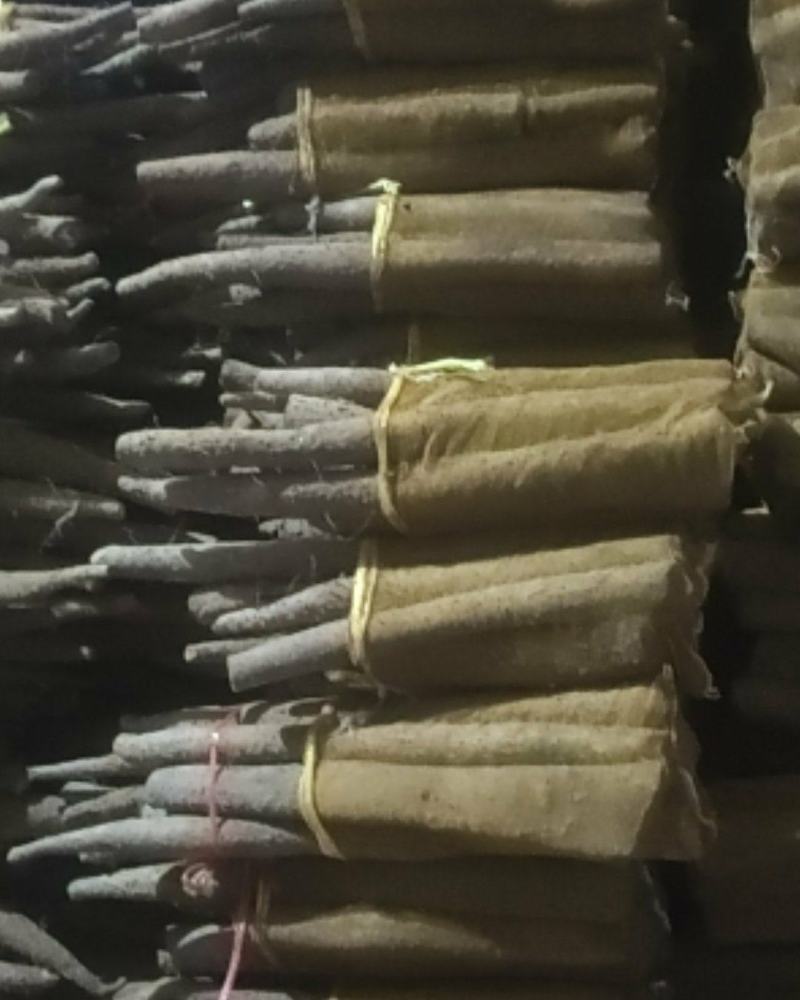 网袋山药，现货一车。