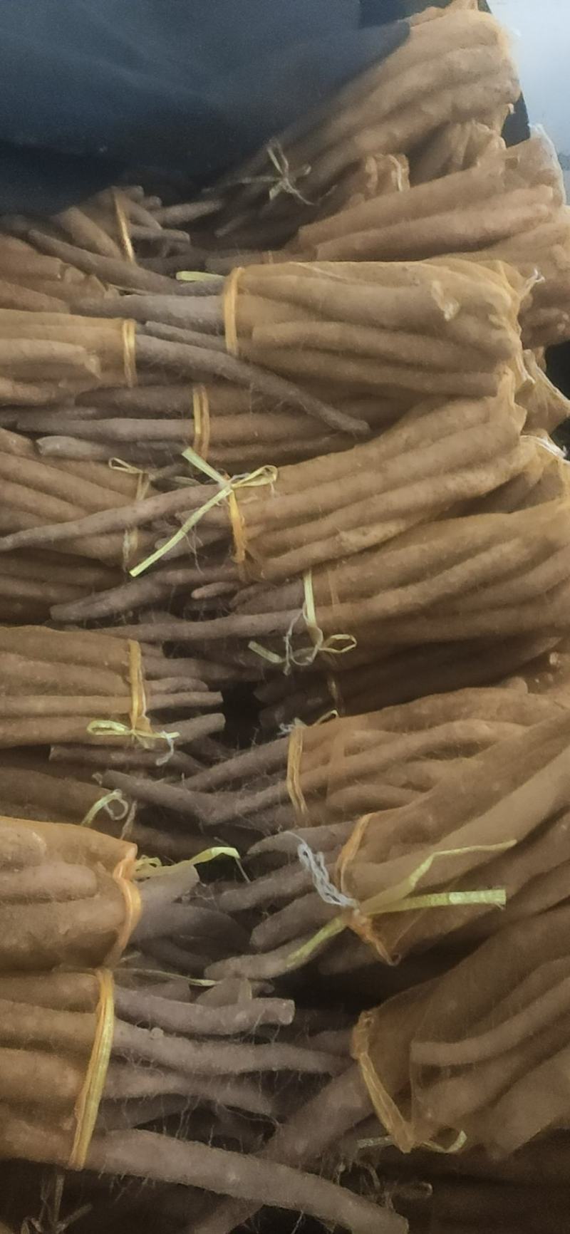 网袋山药，现货一车。