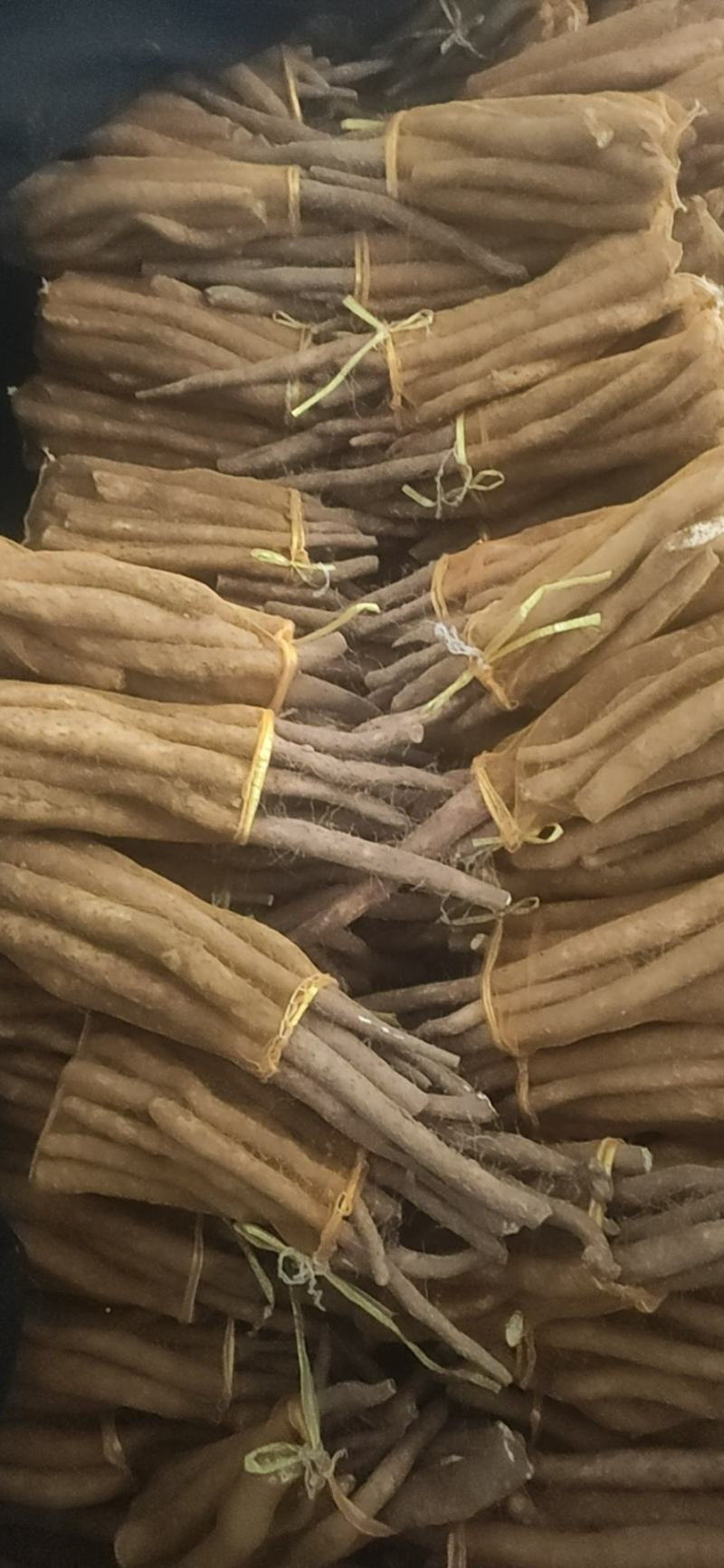 网袋山药，现货一车。