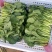 【热销】油菜新鲜油菜大量上市中基地直发量大货好